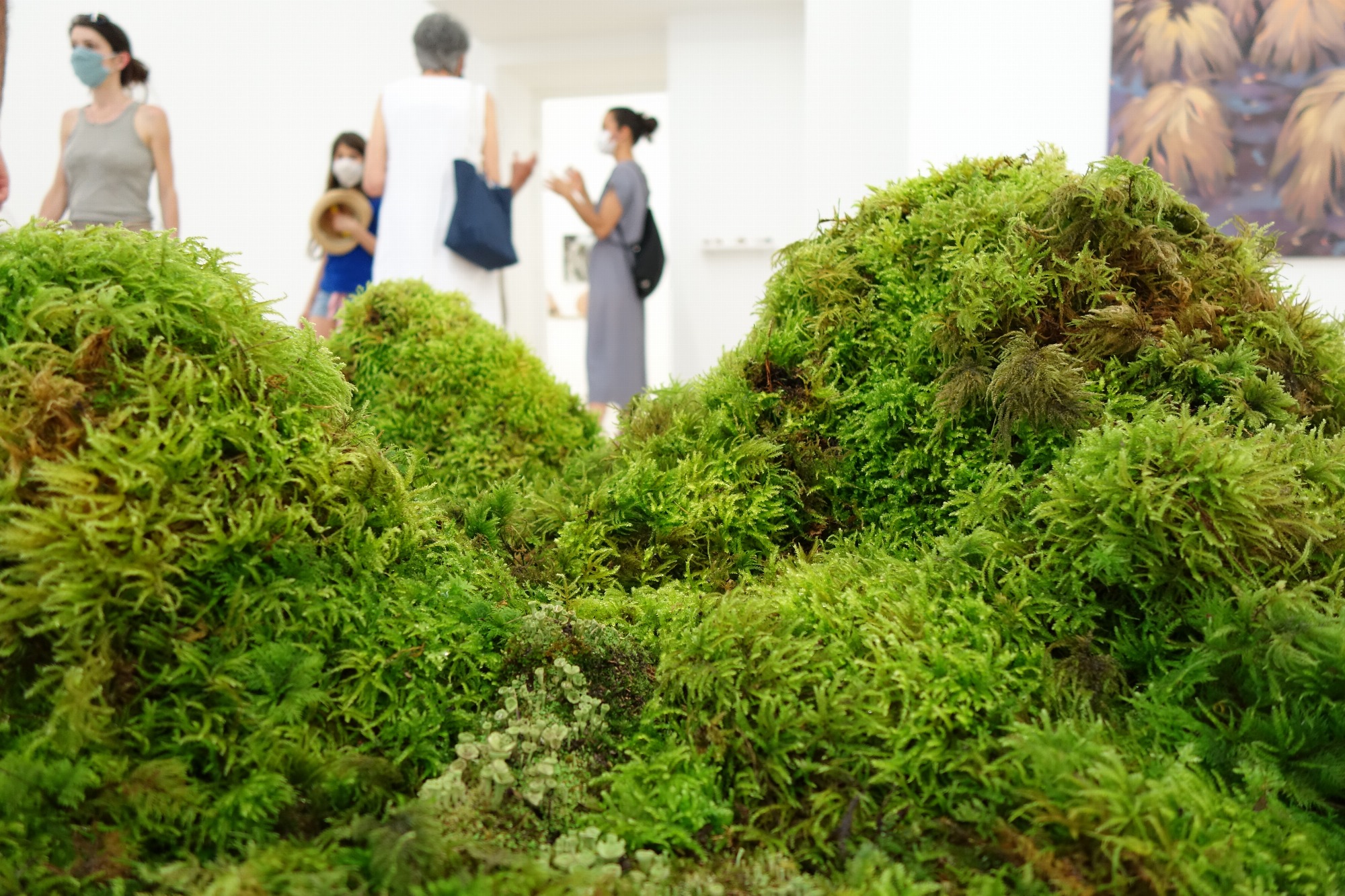 Visite de l'exposition A perte de vue