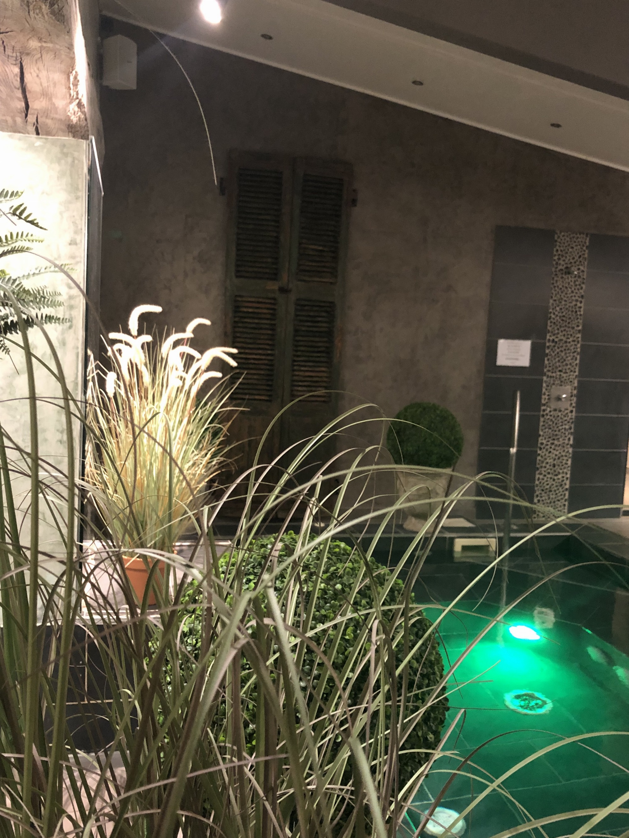 Ambiance jardin