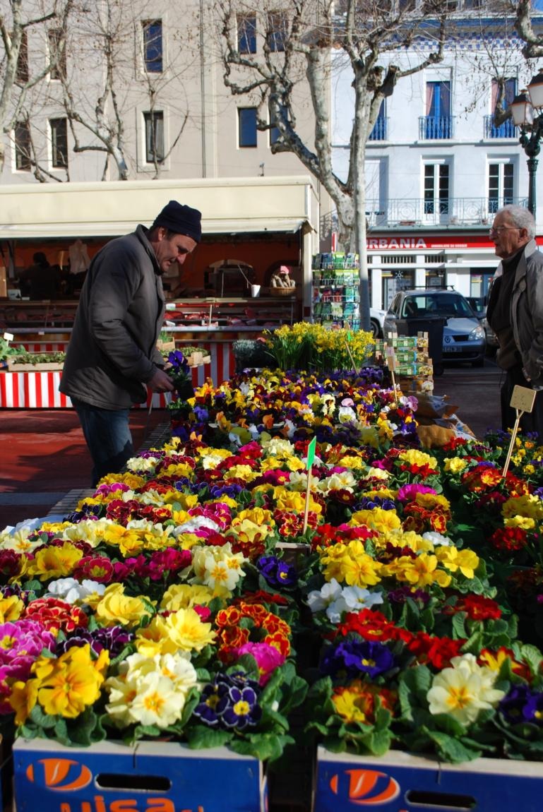 Marché de Saint-Marcellin