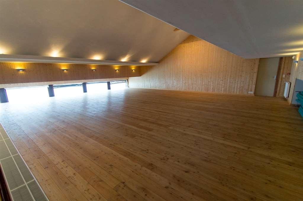 Dojo