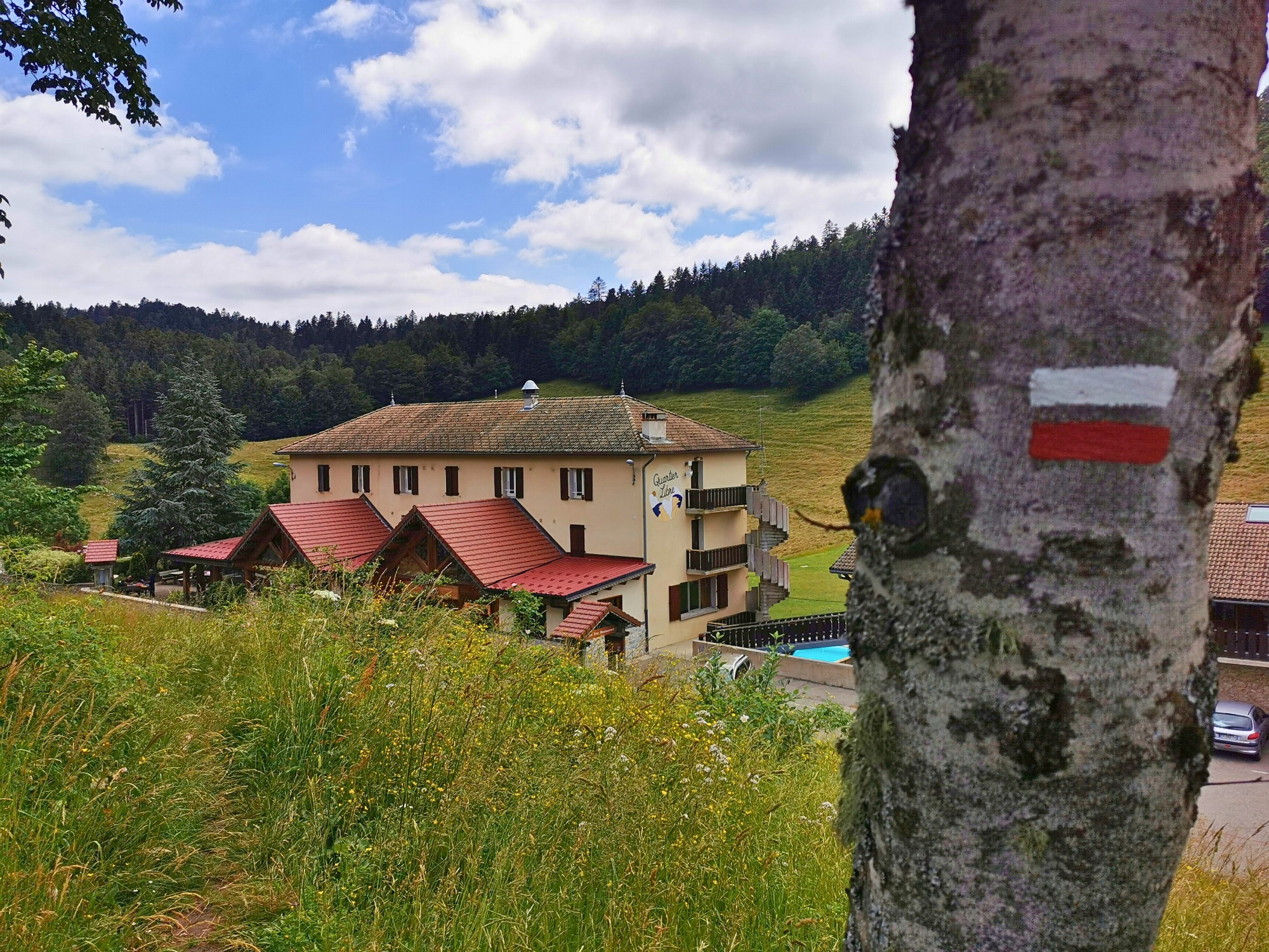 Un arbre balisé aux couleurs rouge et blanche (Itinéraires de Grande Randonnée), placé au premier plan, marque le départ d’un sentier de randonnée ; en contrebas, l’établissement et la forêt en fond