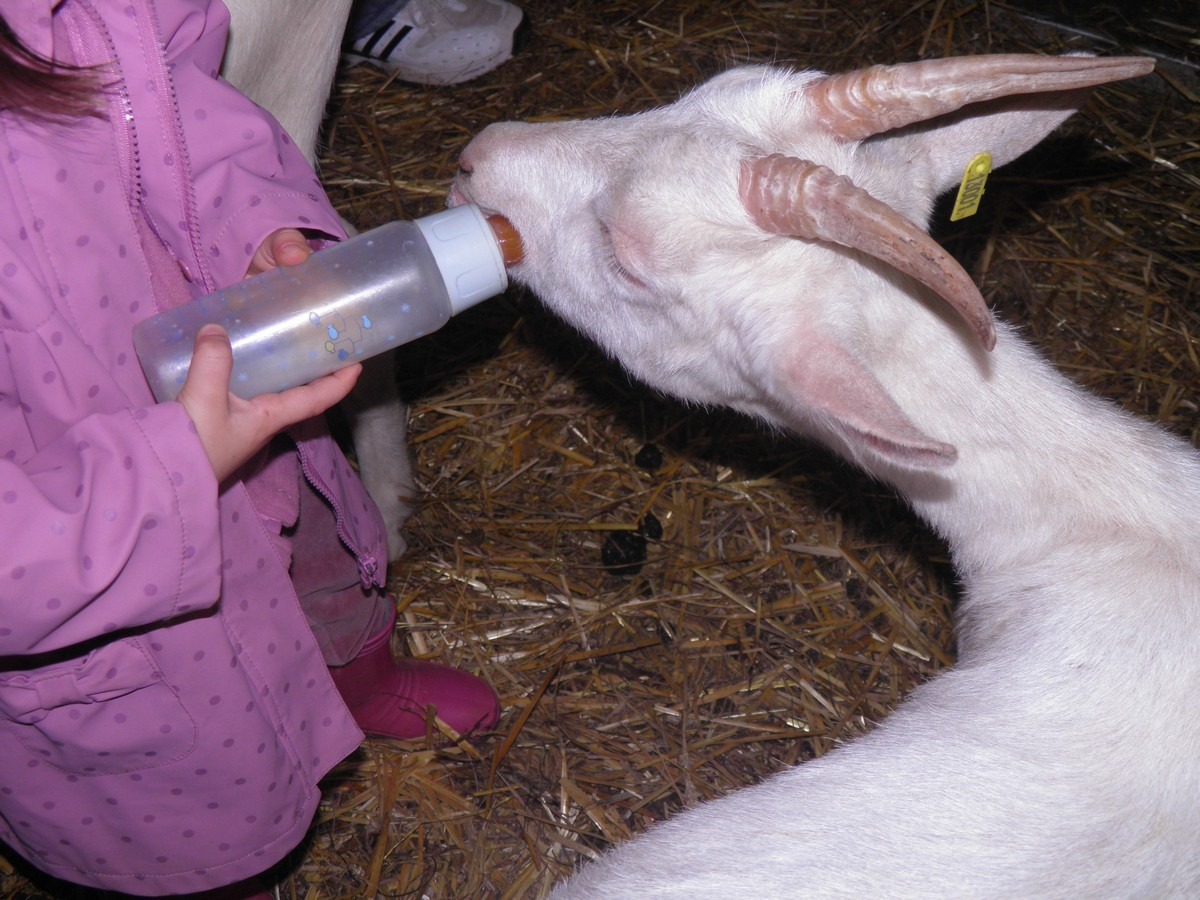 La Ferme du Clos