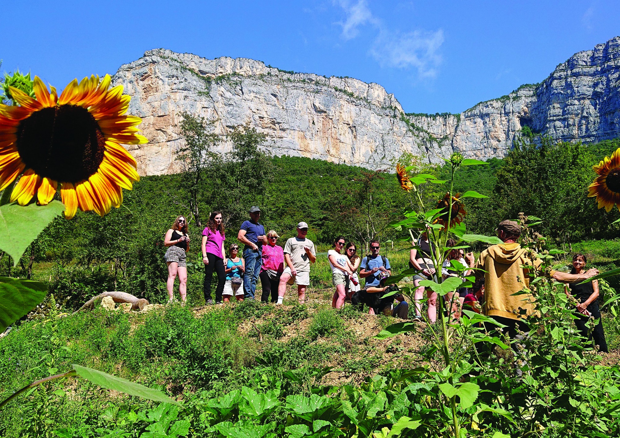Les Aromatiques de Choranche, Vercors et Montagne