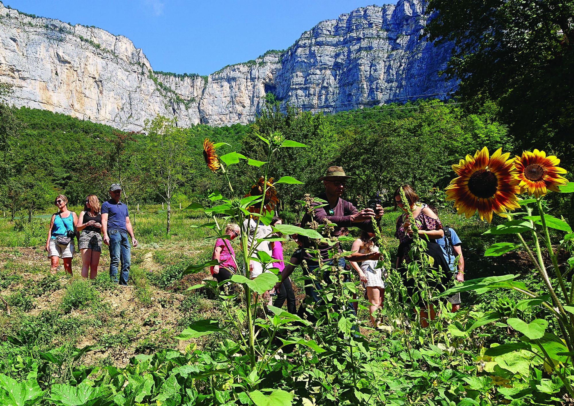 Les Aromatiques de Choranche, Au coeur du Vercors
