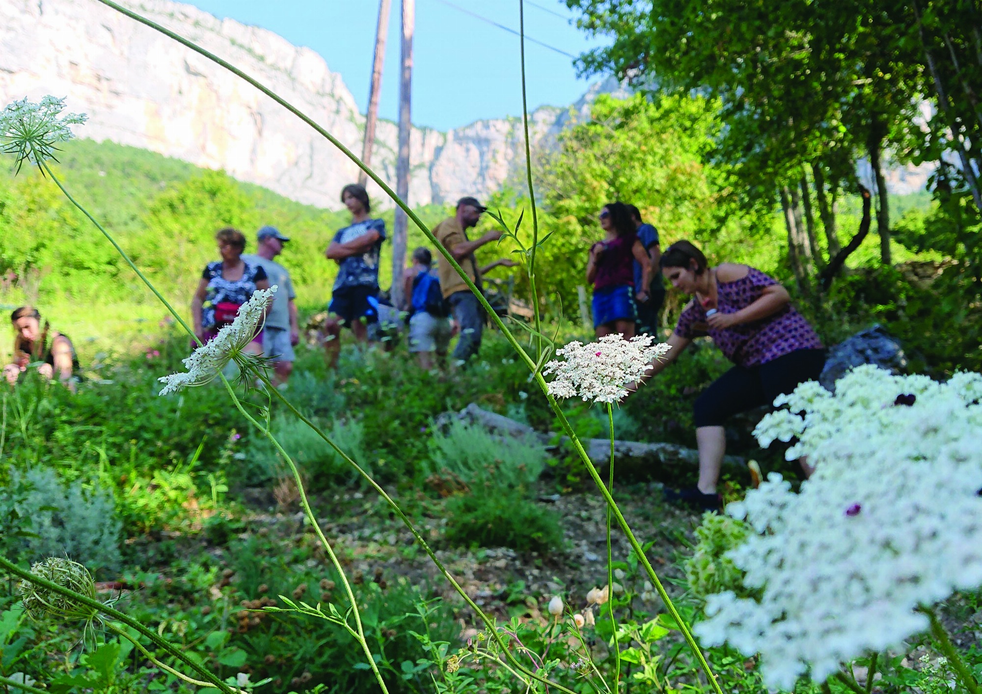 Les Aromatiques de Choranche, Formation professionnelle