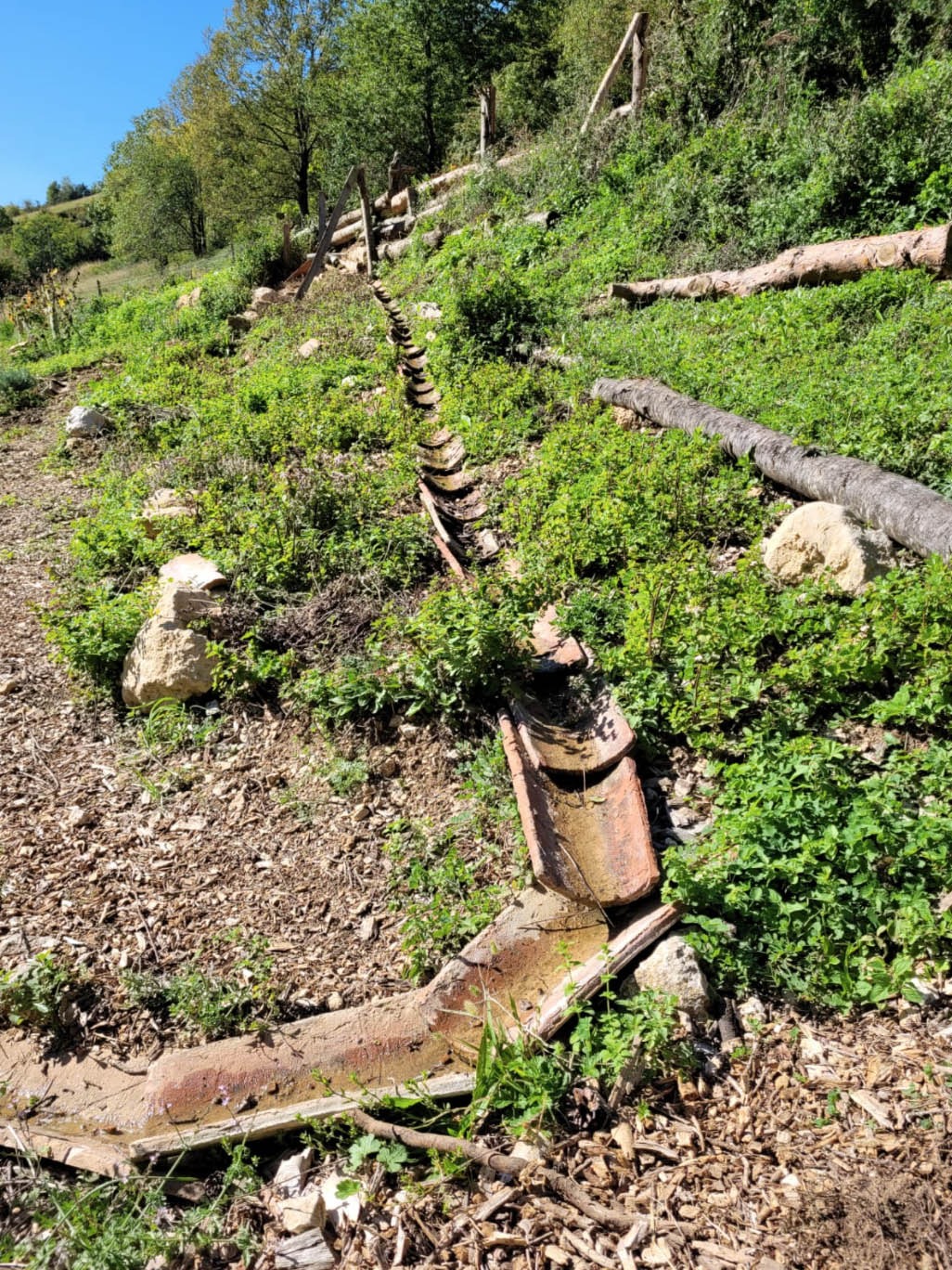 Les Aromatiques de Choranche, Irrigation.jpg