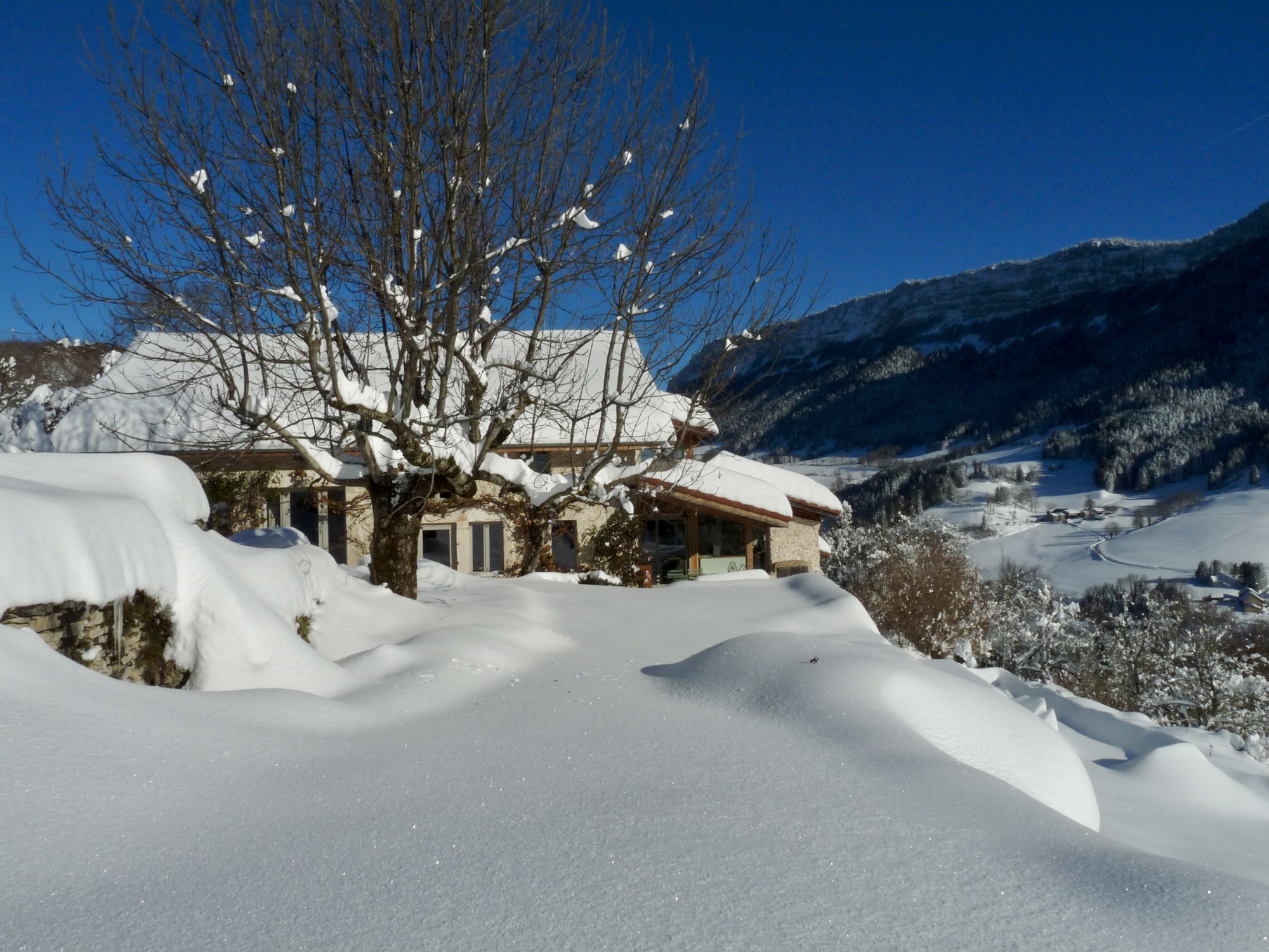 été comme hiver un endroit de rêve