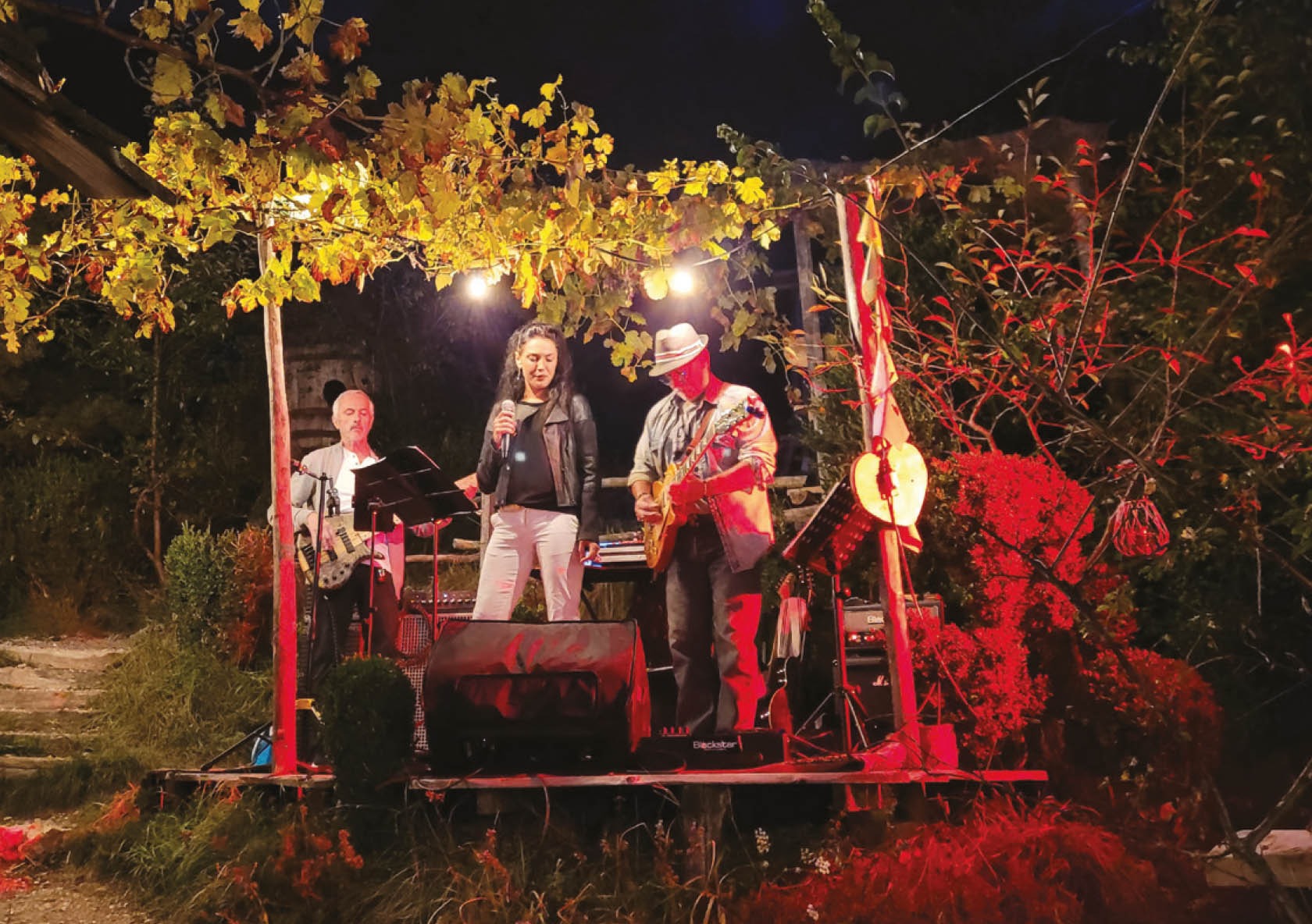 Cabane Café, Musique live.jpg