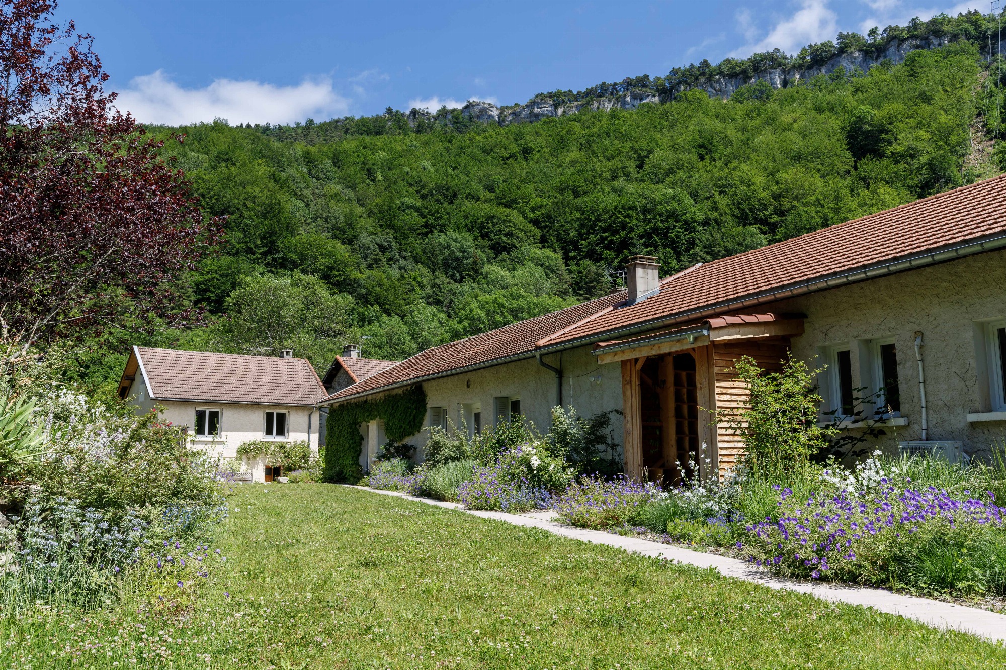 Jardin Gîte Vercors.jpg