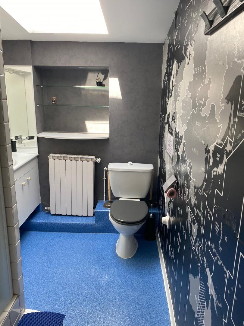 salle de bains avec douche 