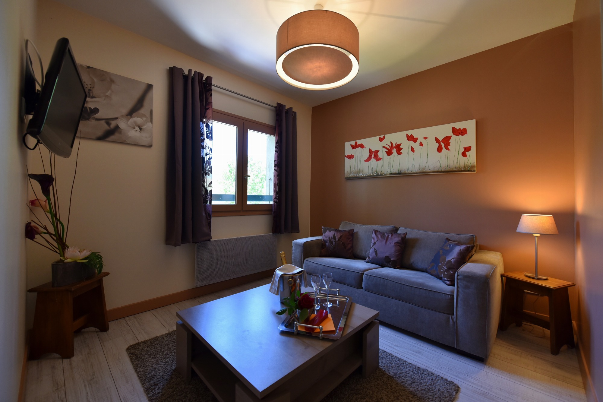 Petit salon cosy avec canapé 4 places, table basse sur laquelle sont posés un seau à champagne, une bouteille et deux coupes. Une lampe de console et un plafonnier éclairent la pièce, décorée de deux tableaux et d’une télévision murale. La lumière naturelle entre par la fenêtre