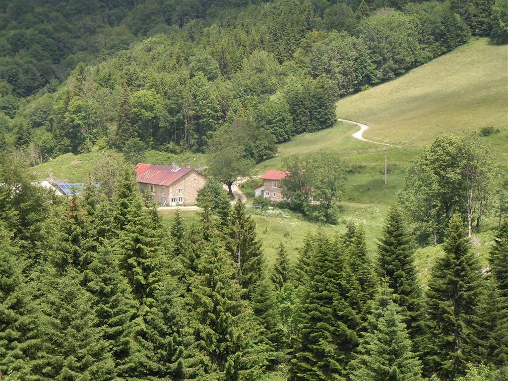 La Servagere dans son écrin de verdure.
