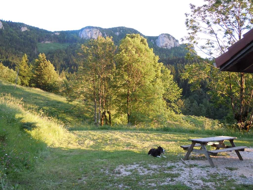 Vue depuis le gîte