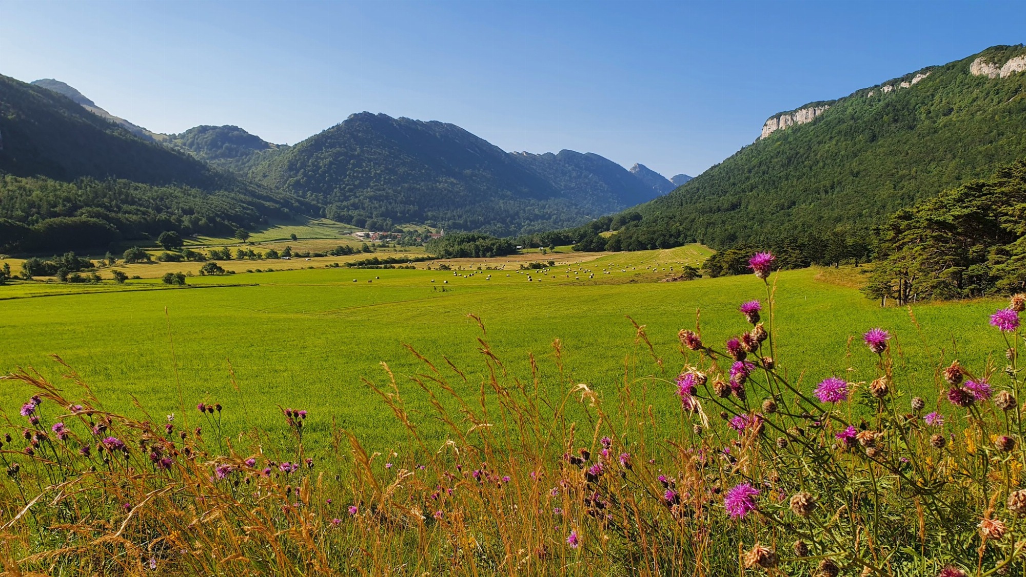 Léoncel niché dans les montagnes