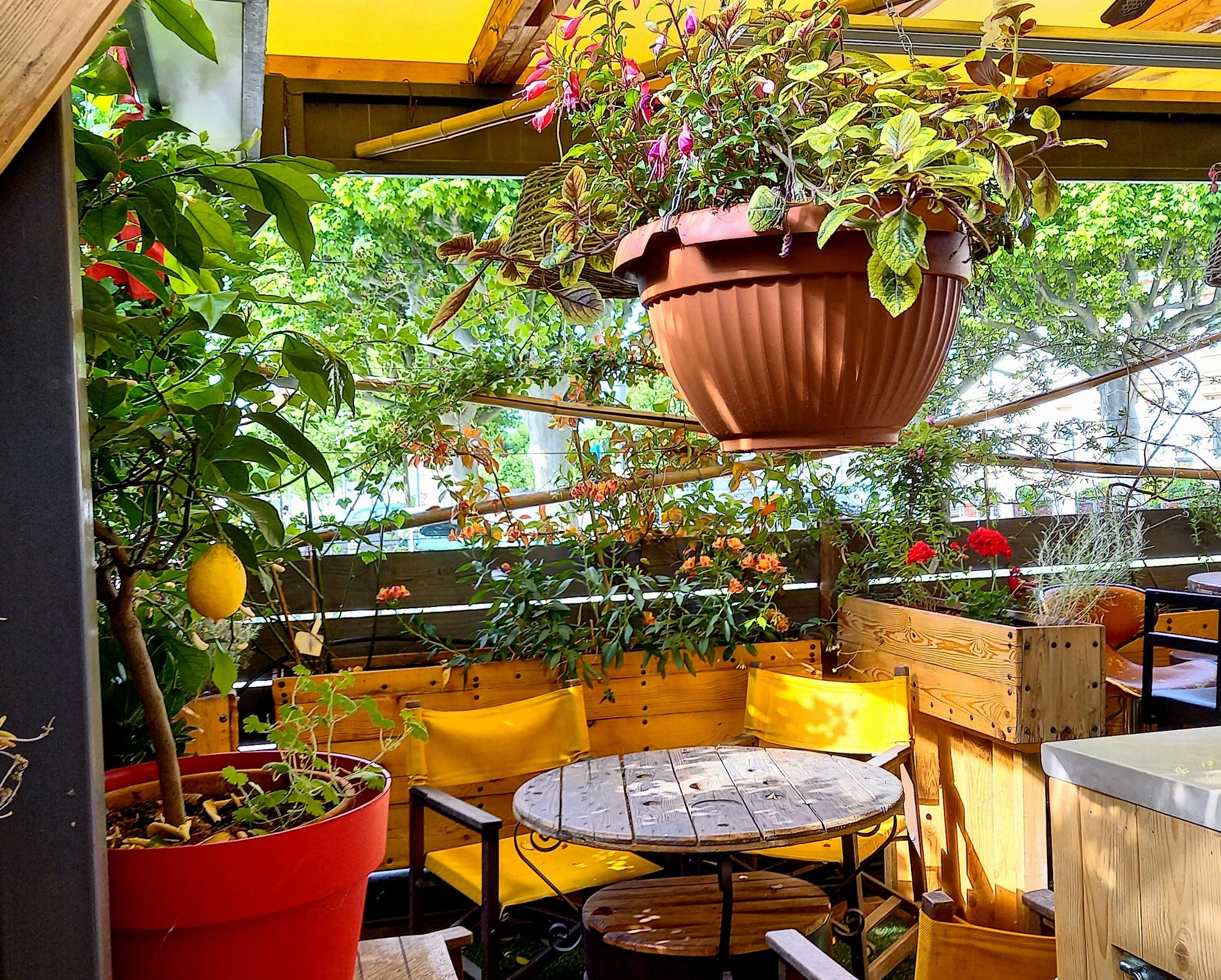 La Terrasse
