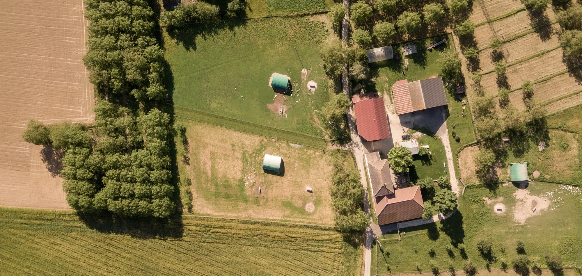 La Ferme des Cassières_La Sône