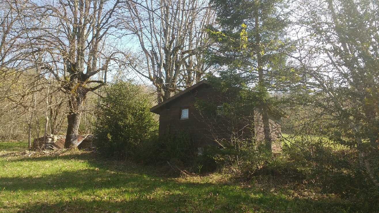 nous sommes tombés sur une maisonnette
dans cette clairière