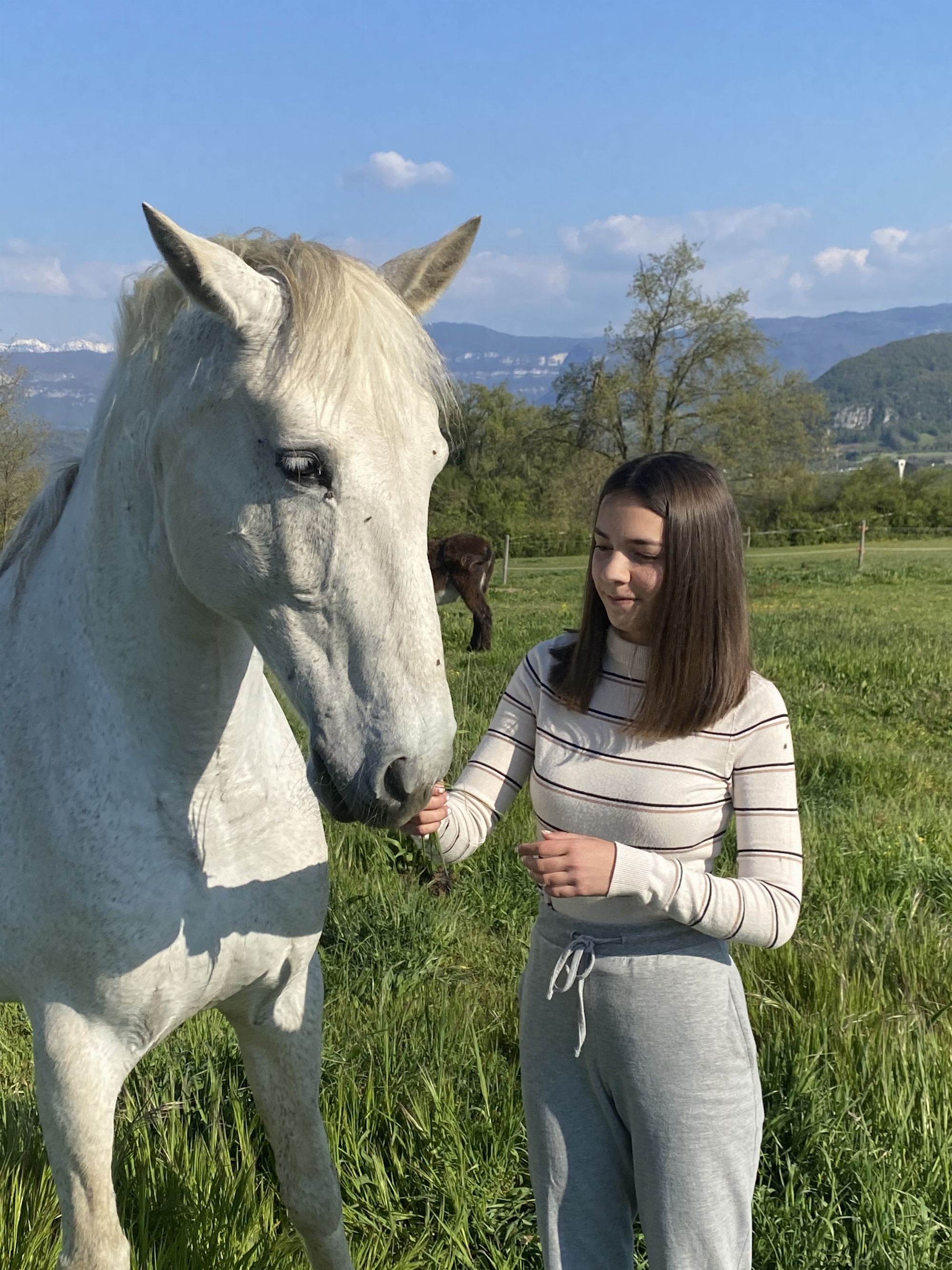 Notre cheval