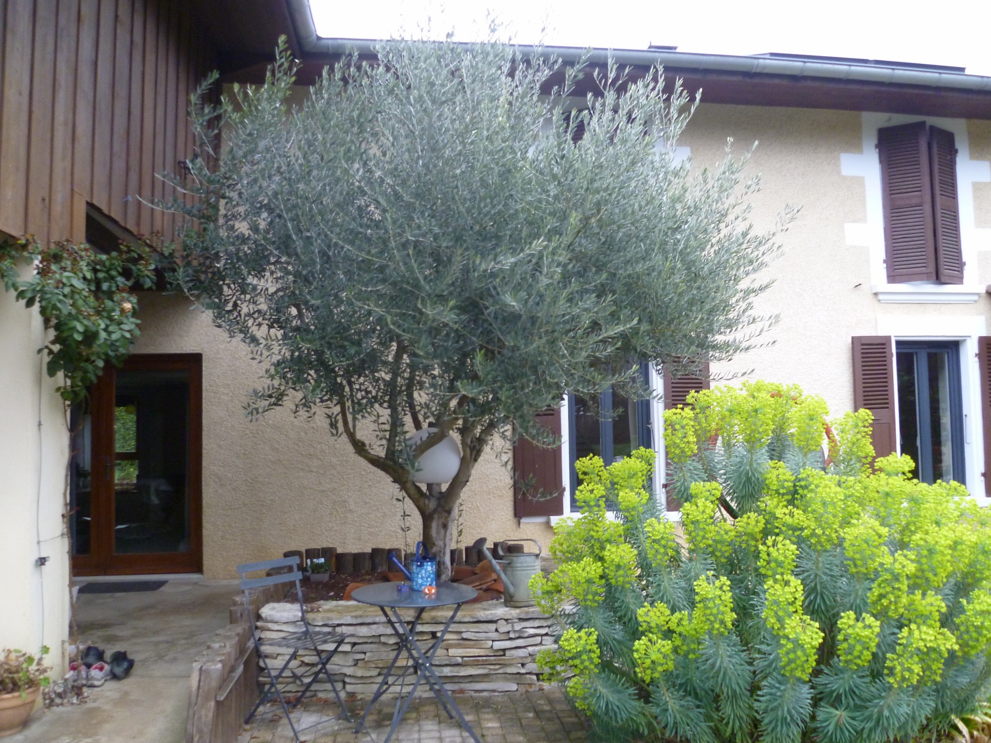 Côté jardin