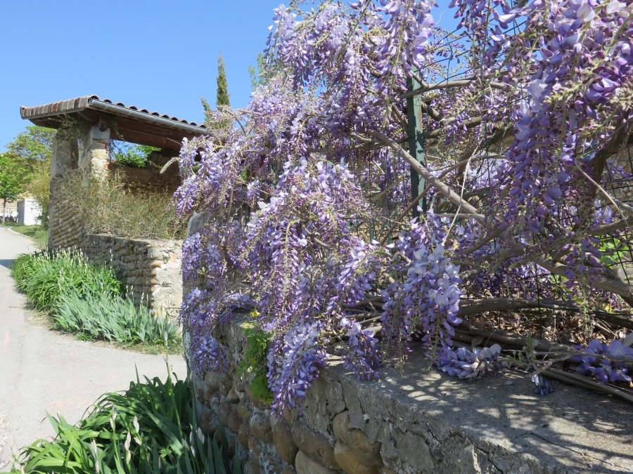 La Maison Rose
