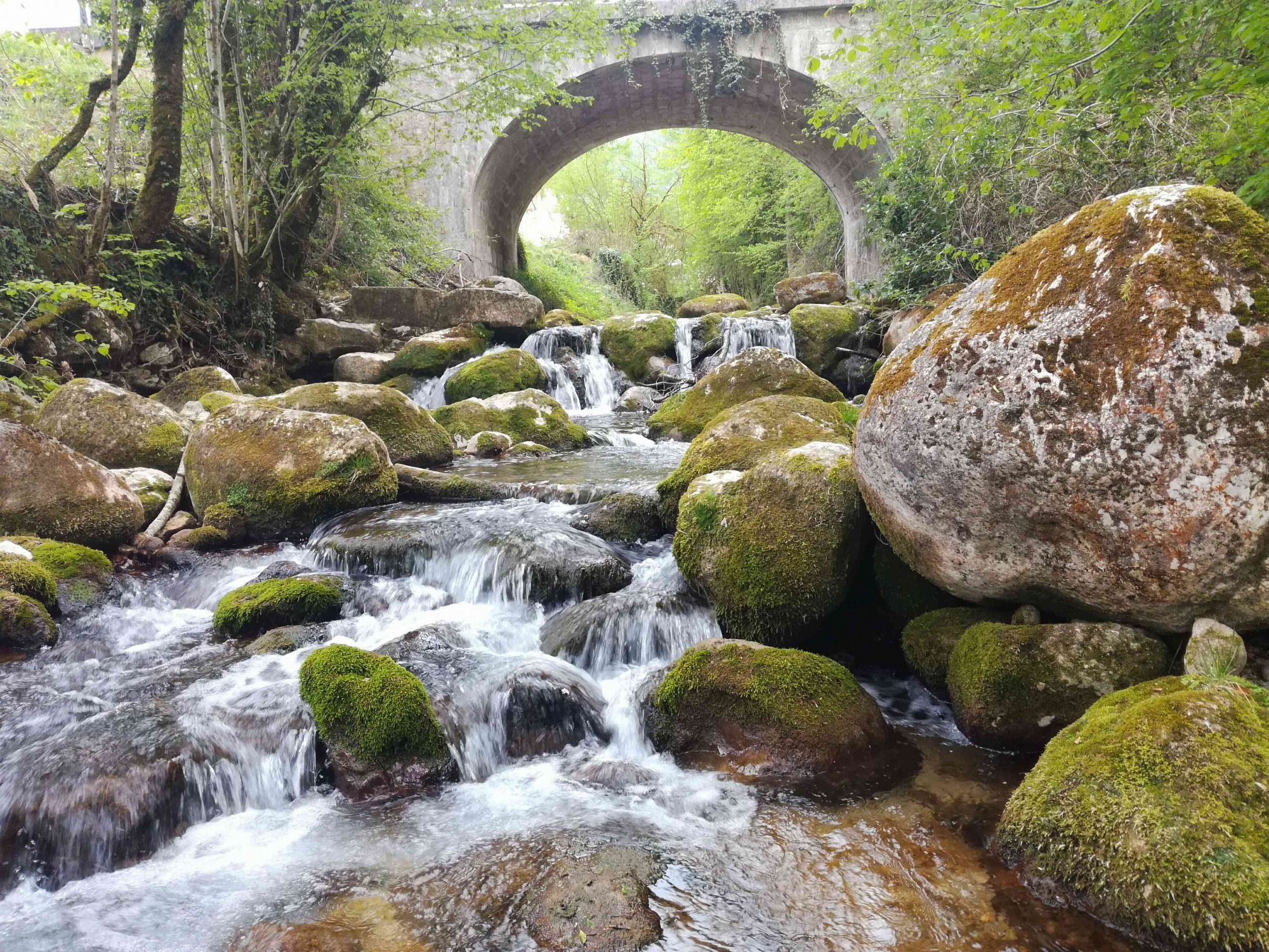 Le Nan à 100m du gîte