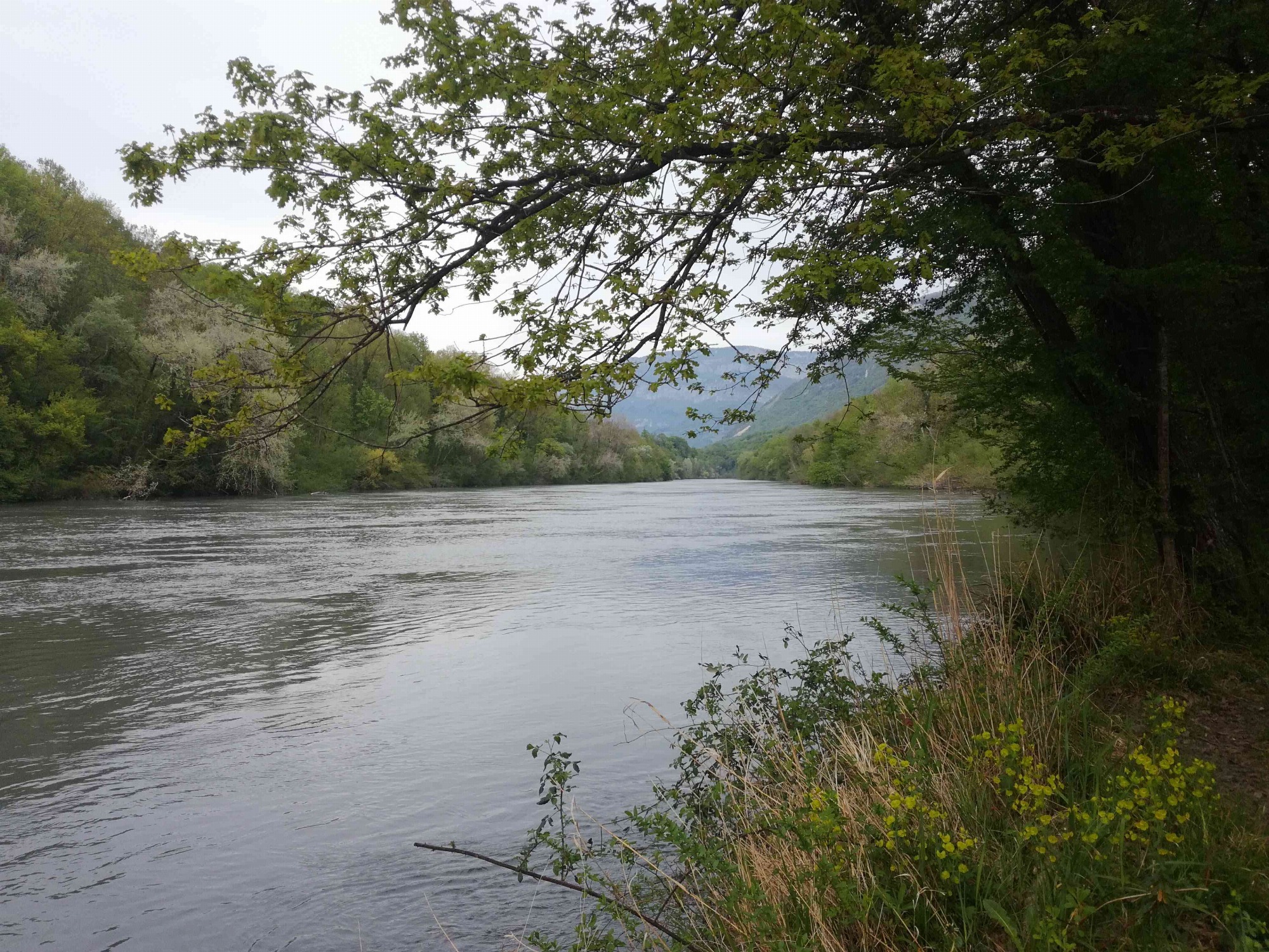 L'Isère à 300 m du gîte