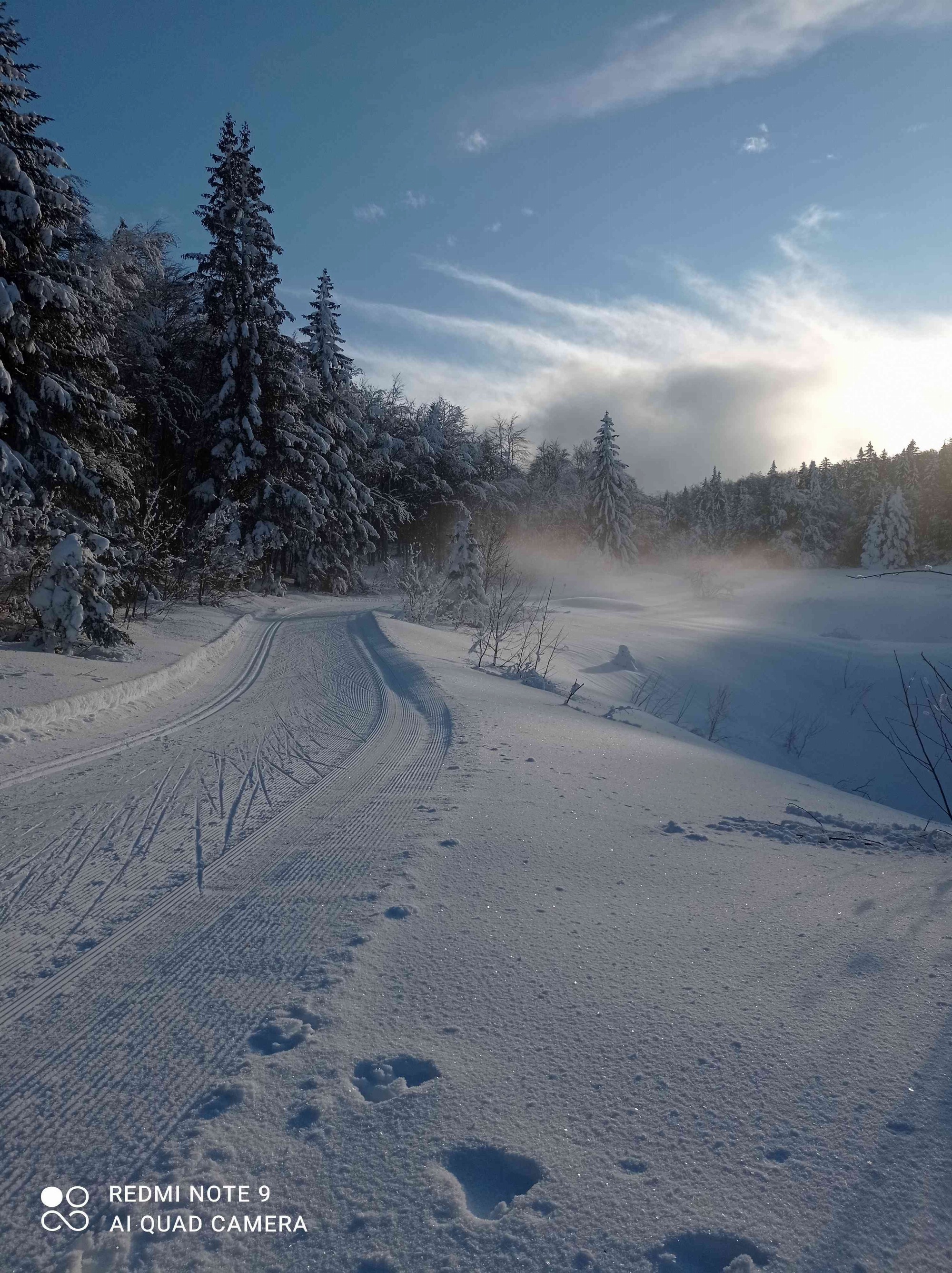 Ski de fond dans les Coulmes à 20 minutes du gîte