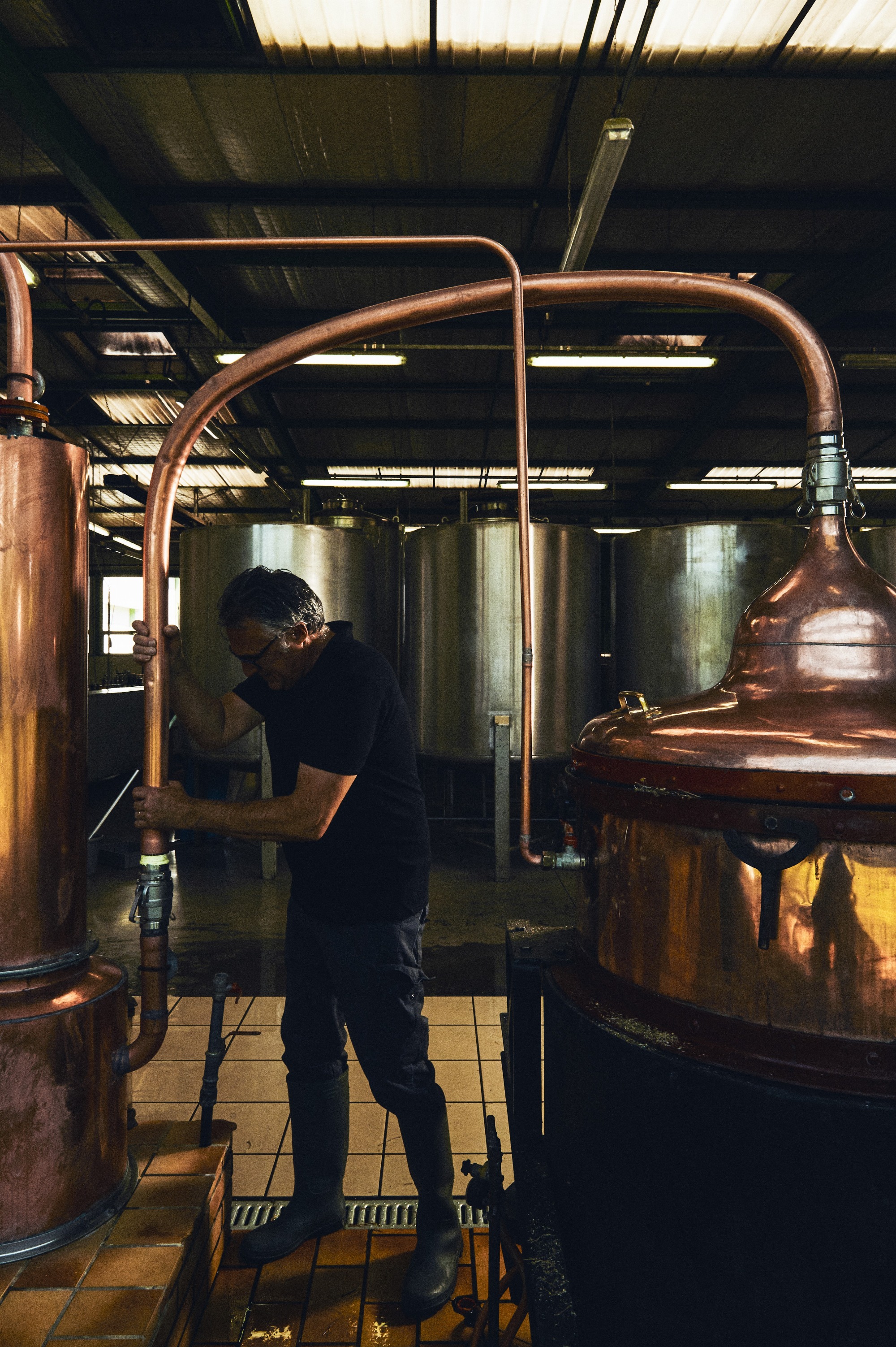 distillateur alambic