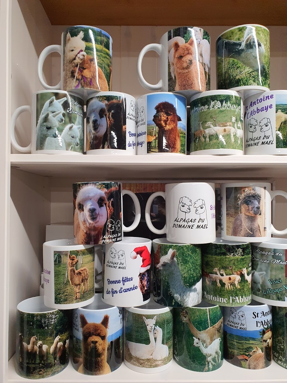 Mug dans la boutique de l'élevage