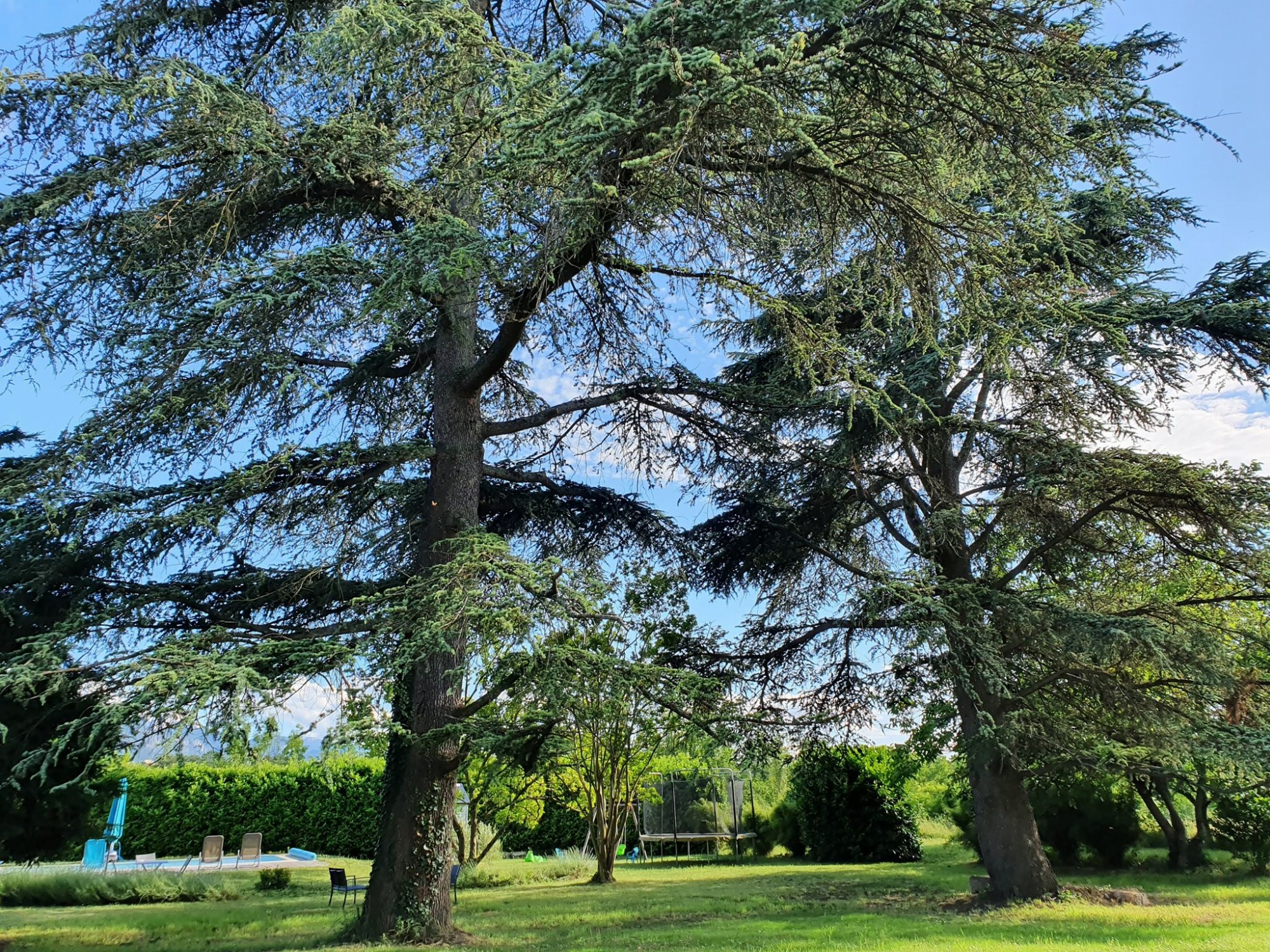 Le parc