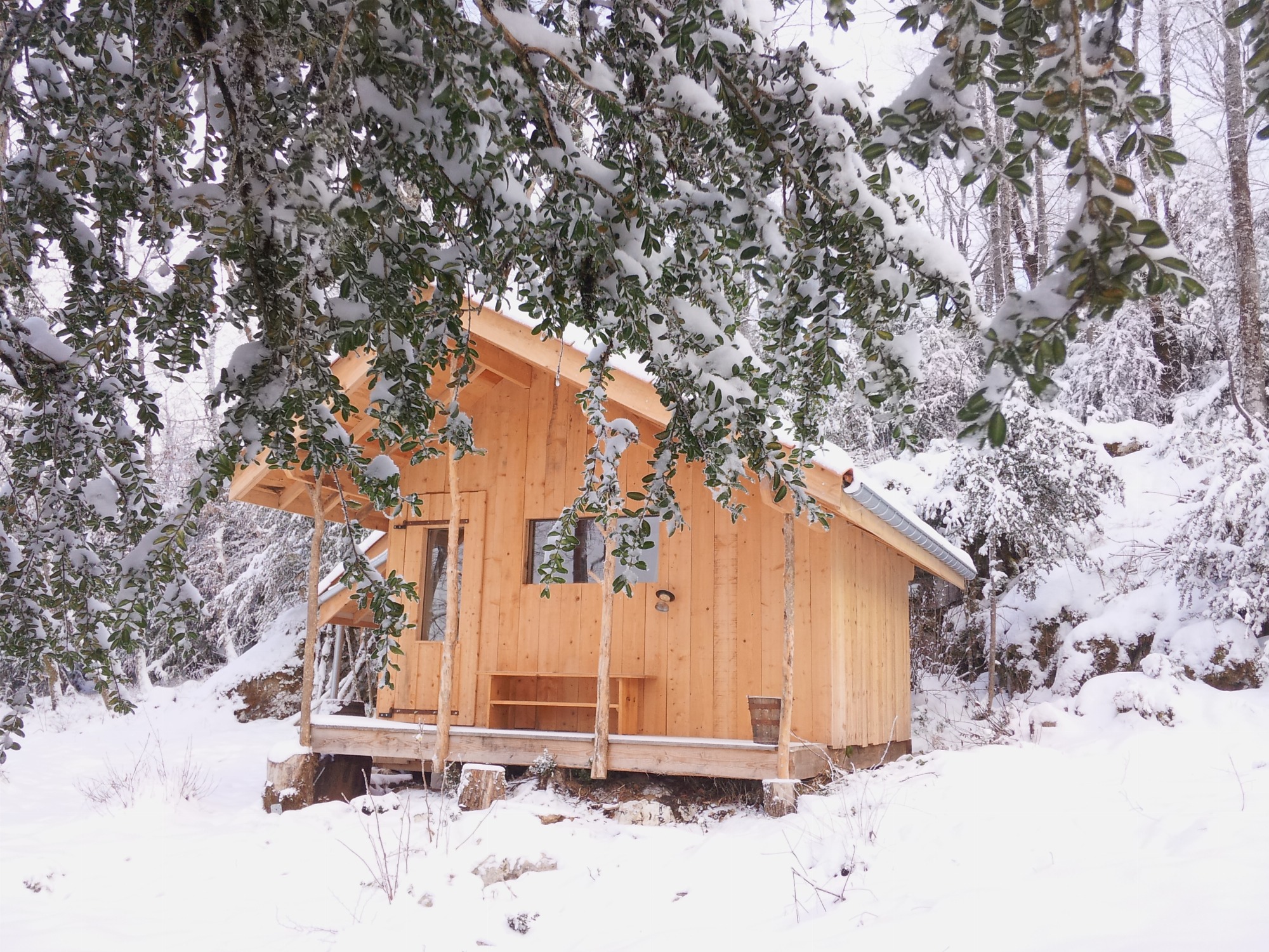 cabane forêt hiver.jpg
