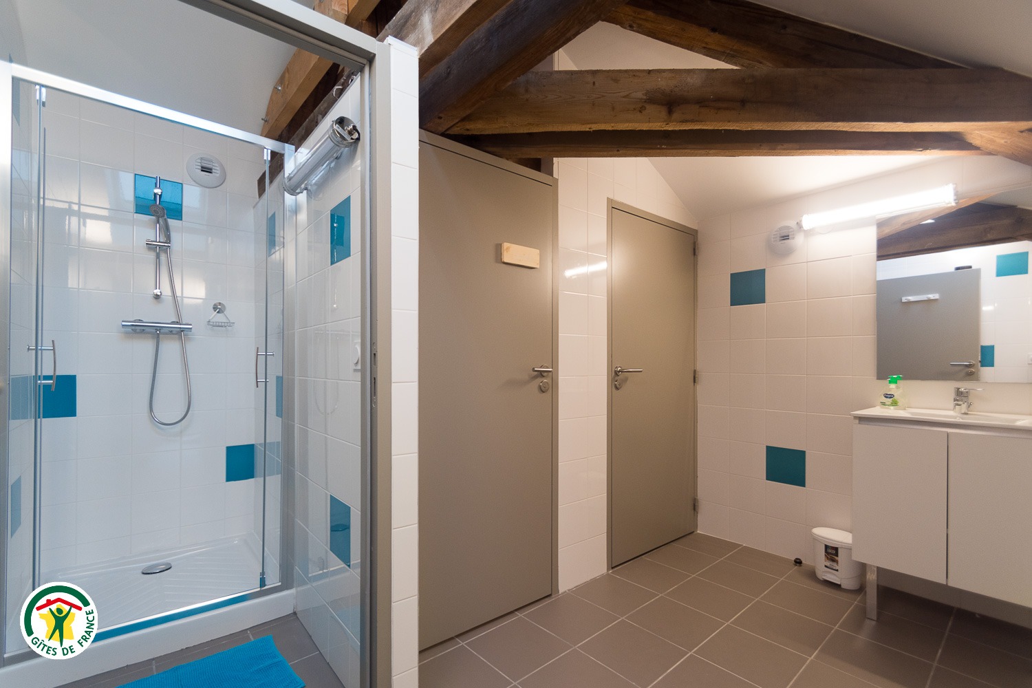 Salle de Bain et toilettes de la chambre