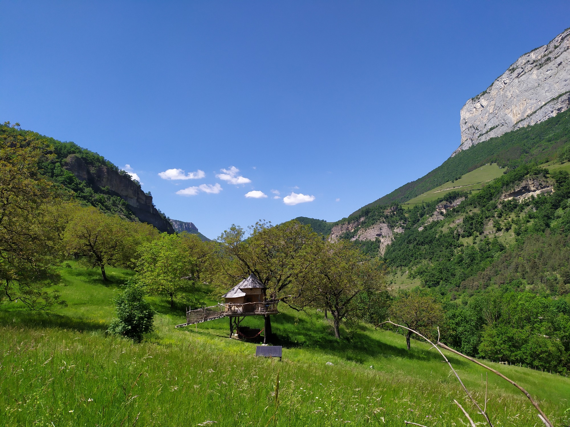 Vue Cabane La Bicoque au milieu des champs de noyers