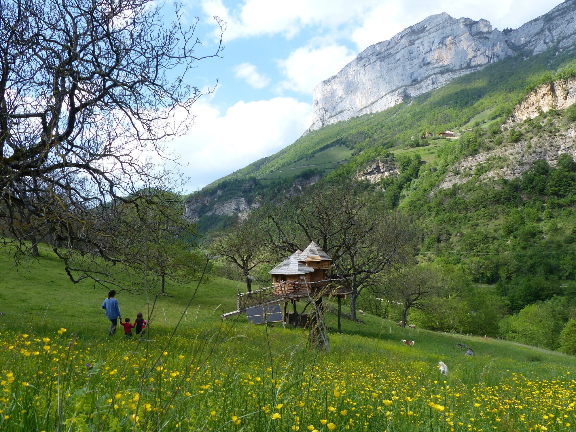 Vue Cabane La Bicoque au milieu d'un champ adossé aux falaises du Vercors