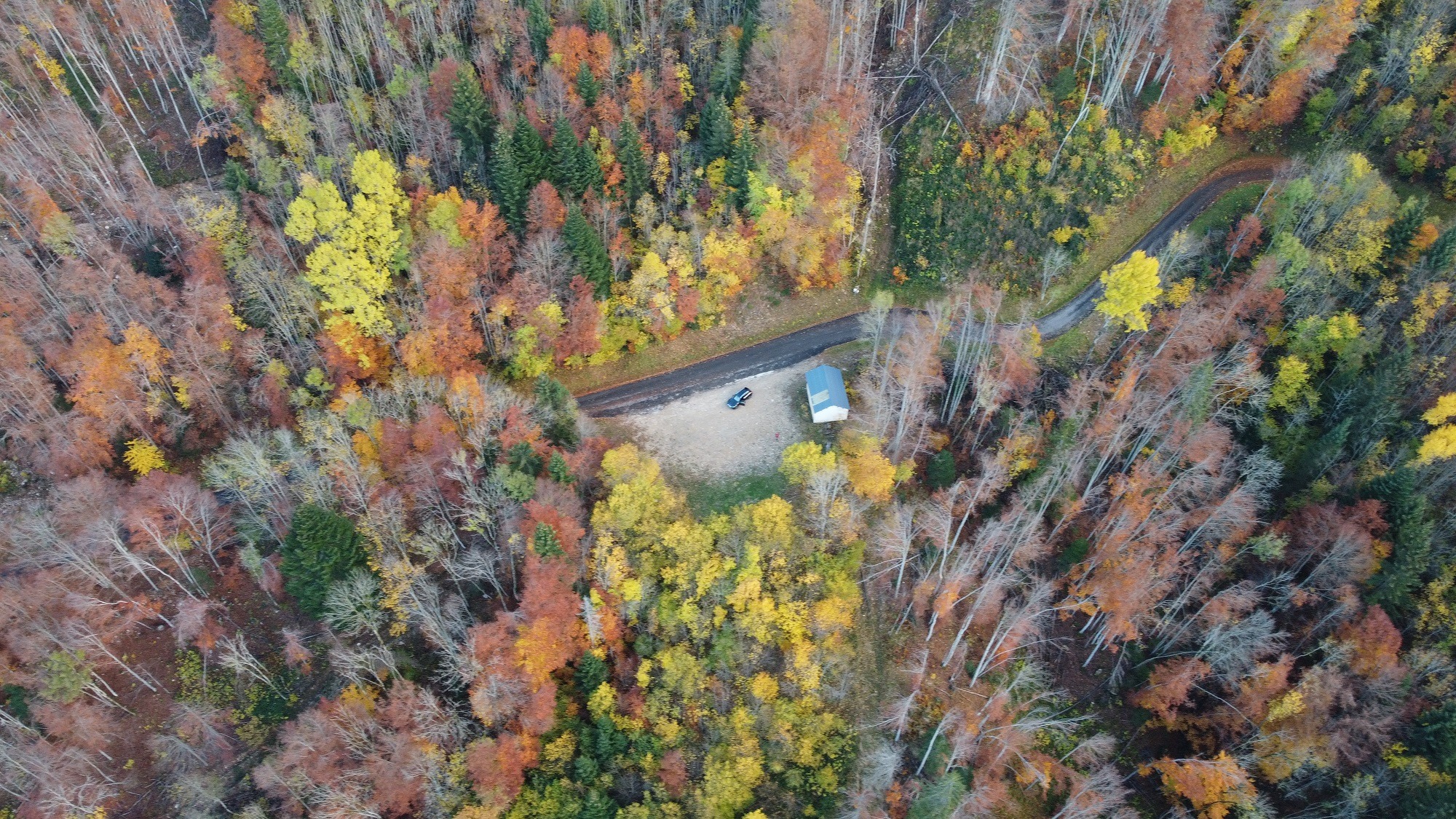 Foret de Malleval au dessus du village