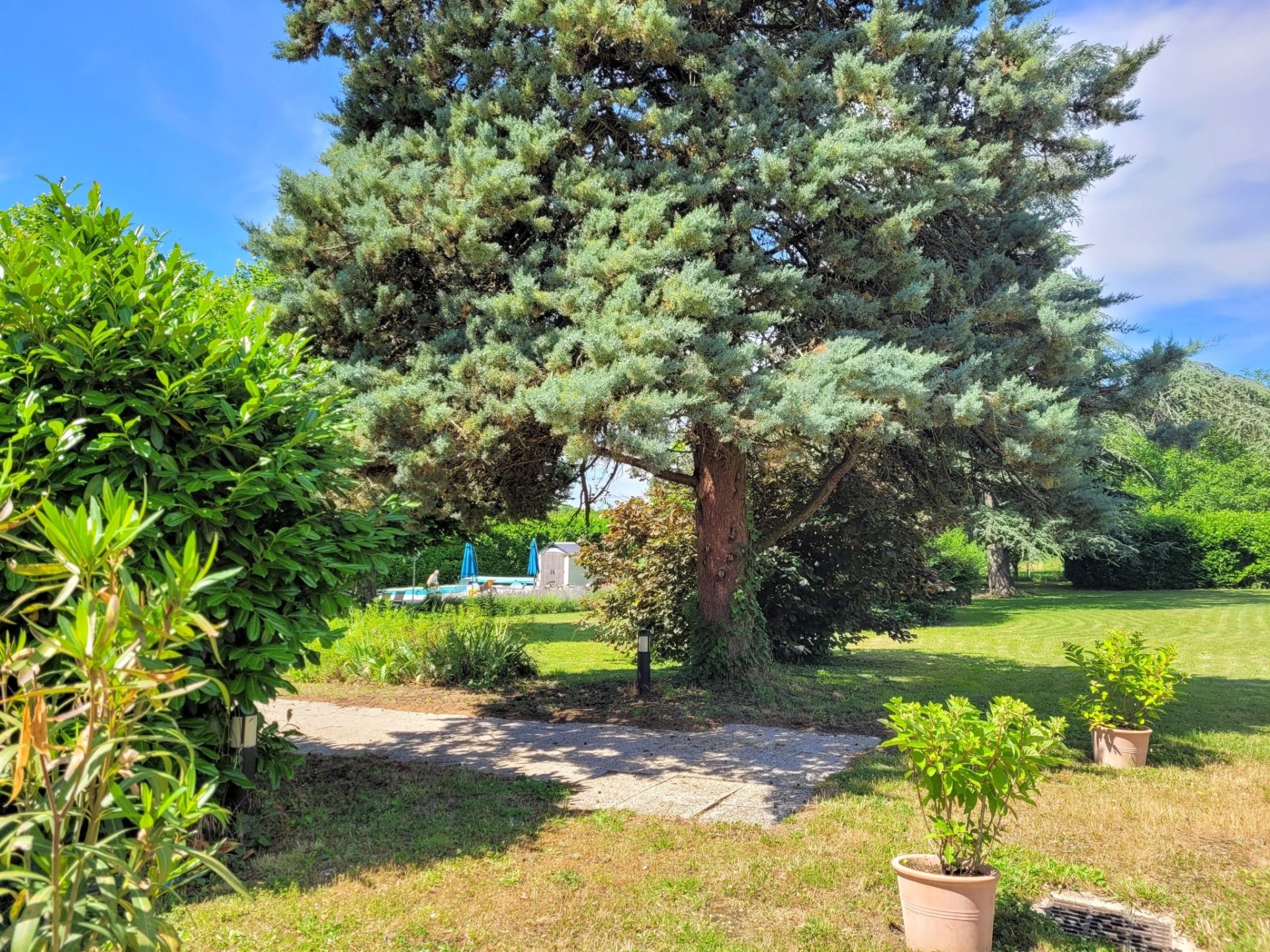Le parc arboré