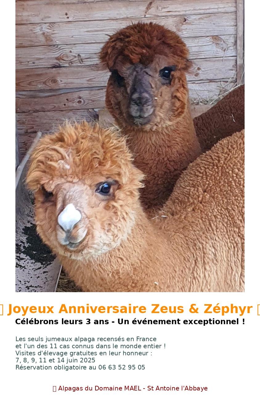 Zeus et Zephyr du Domaine MAEL