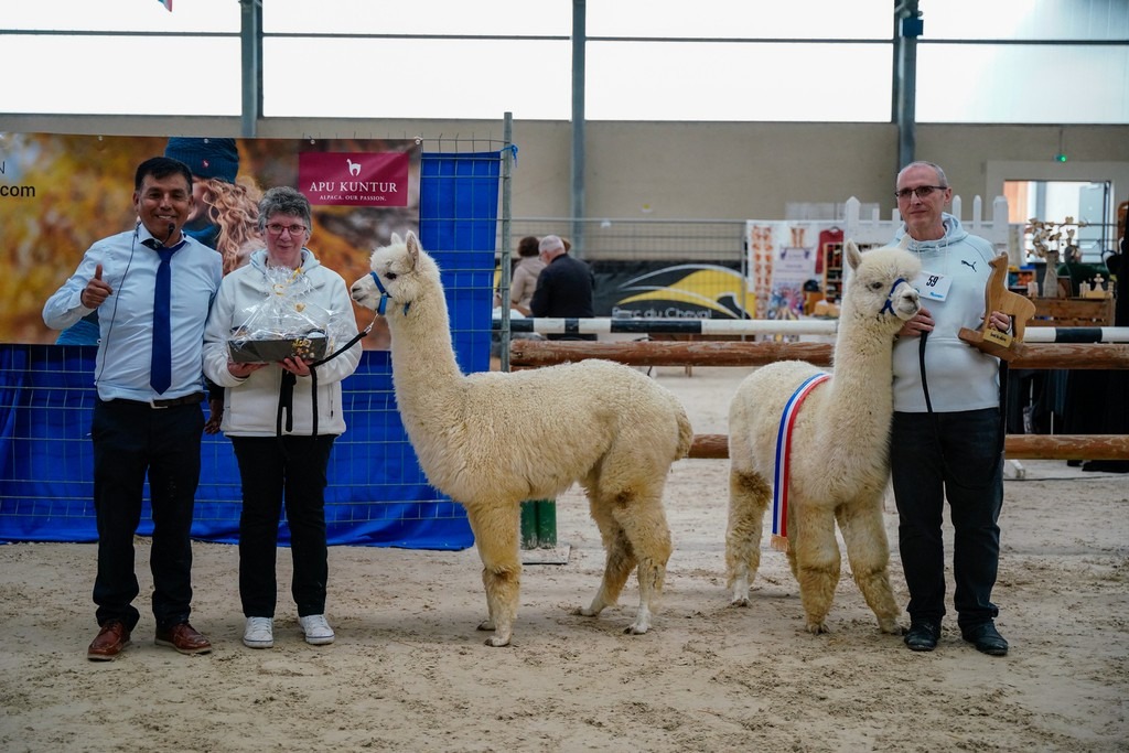 Best In Show 2025_ALPAGAS DU DOMAINE MAEL