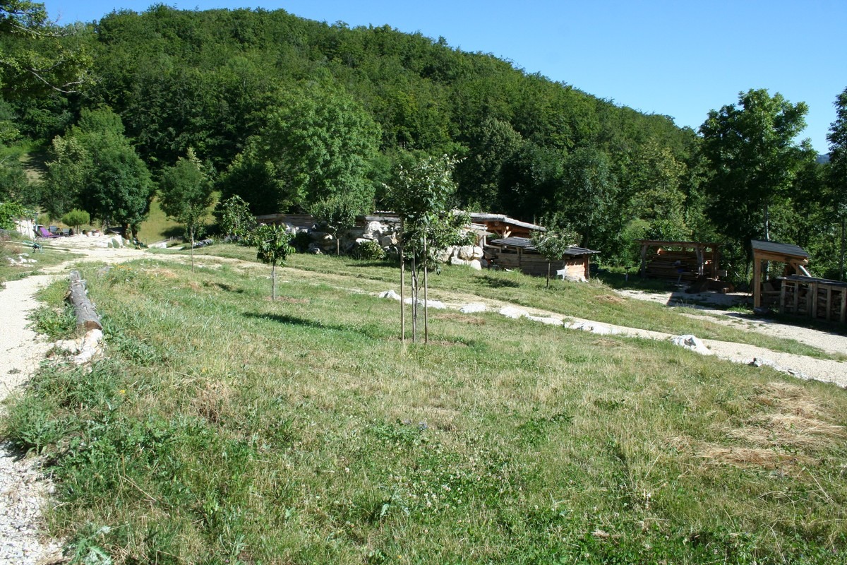 jardin