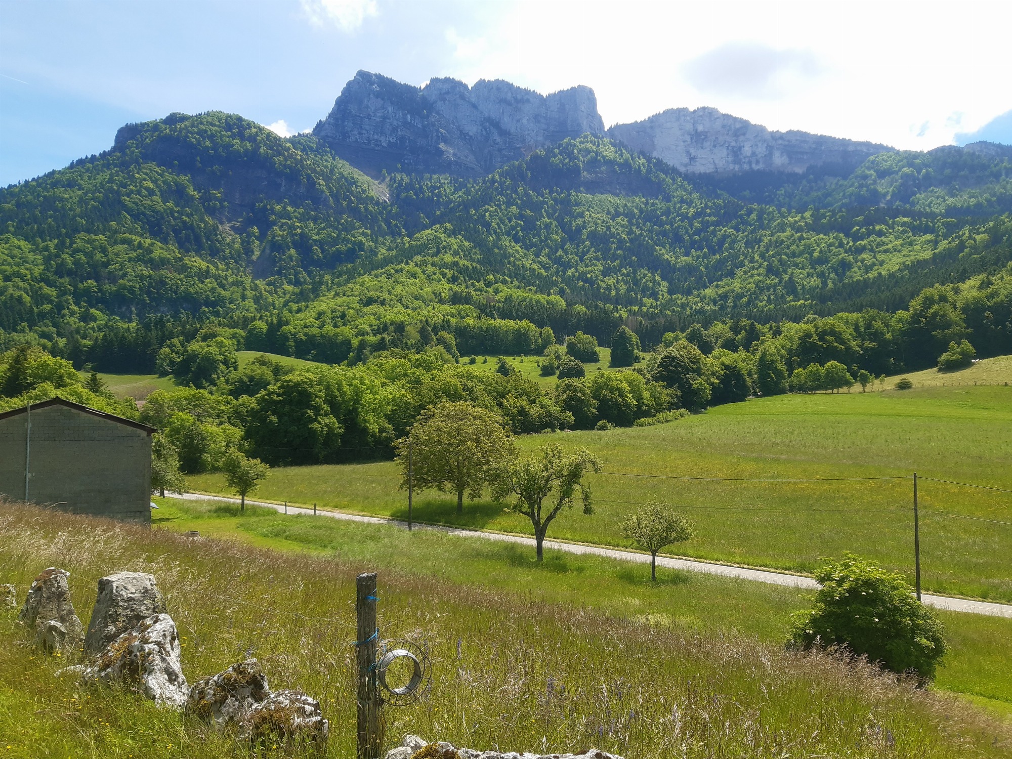 Ambiance montagne