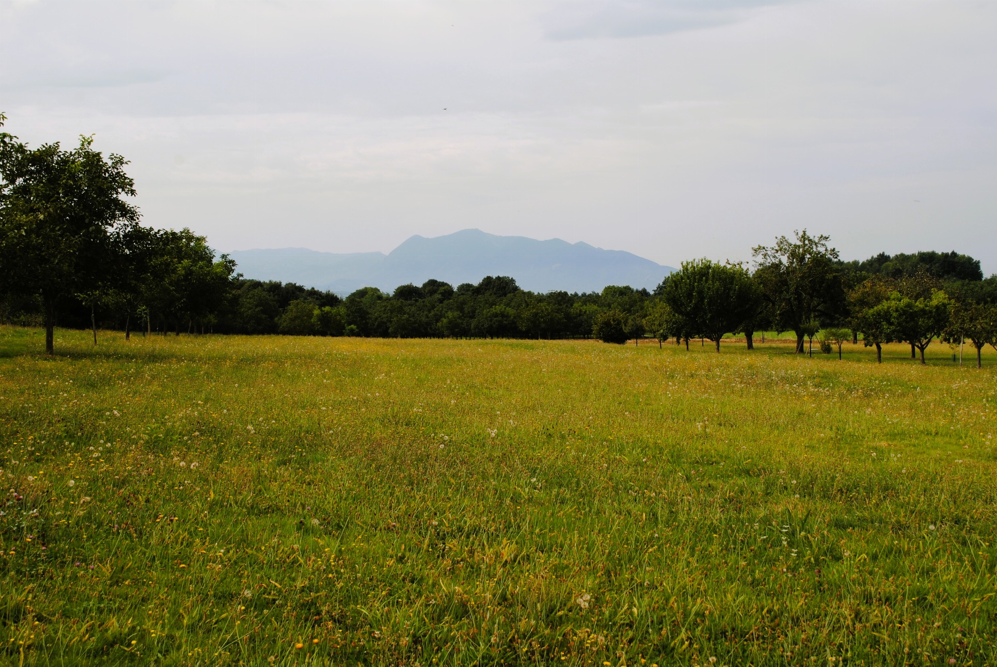 Vue sur le Royans