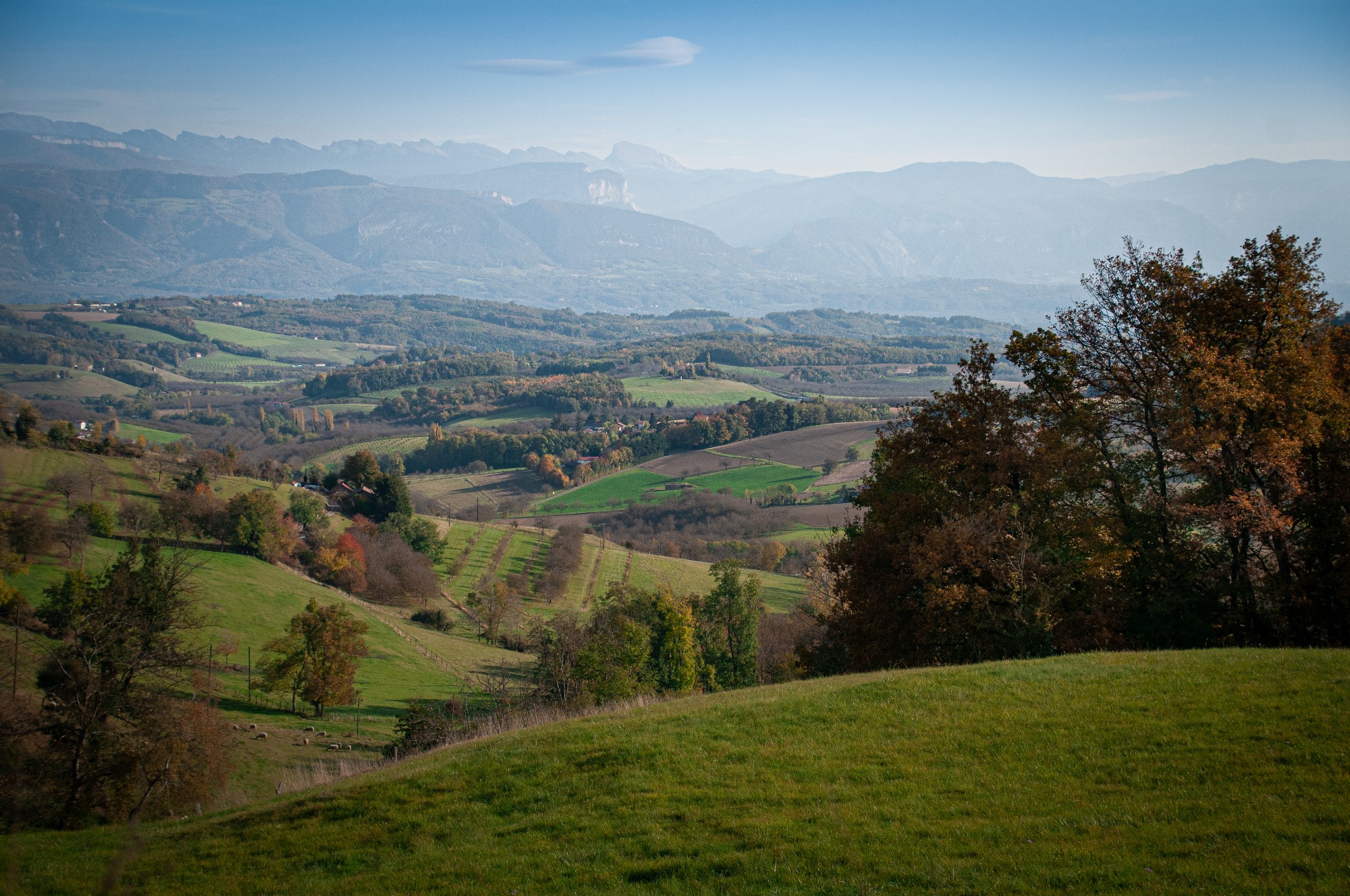 coteaux