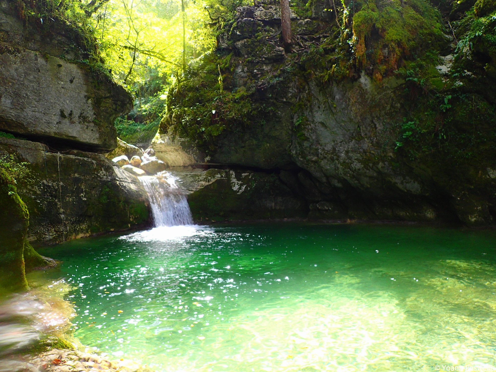 Piscine naturelle au Ecouges II
