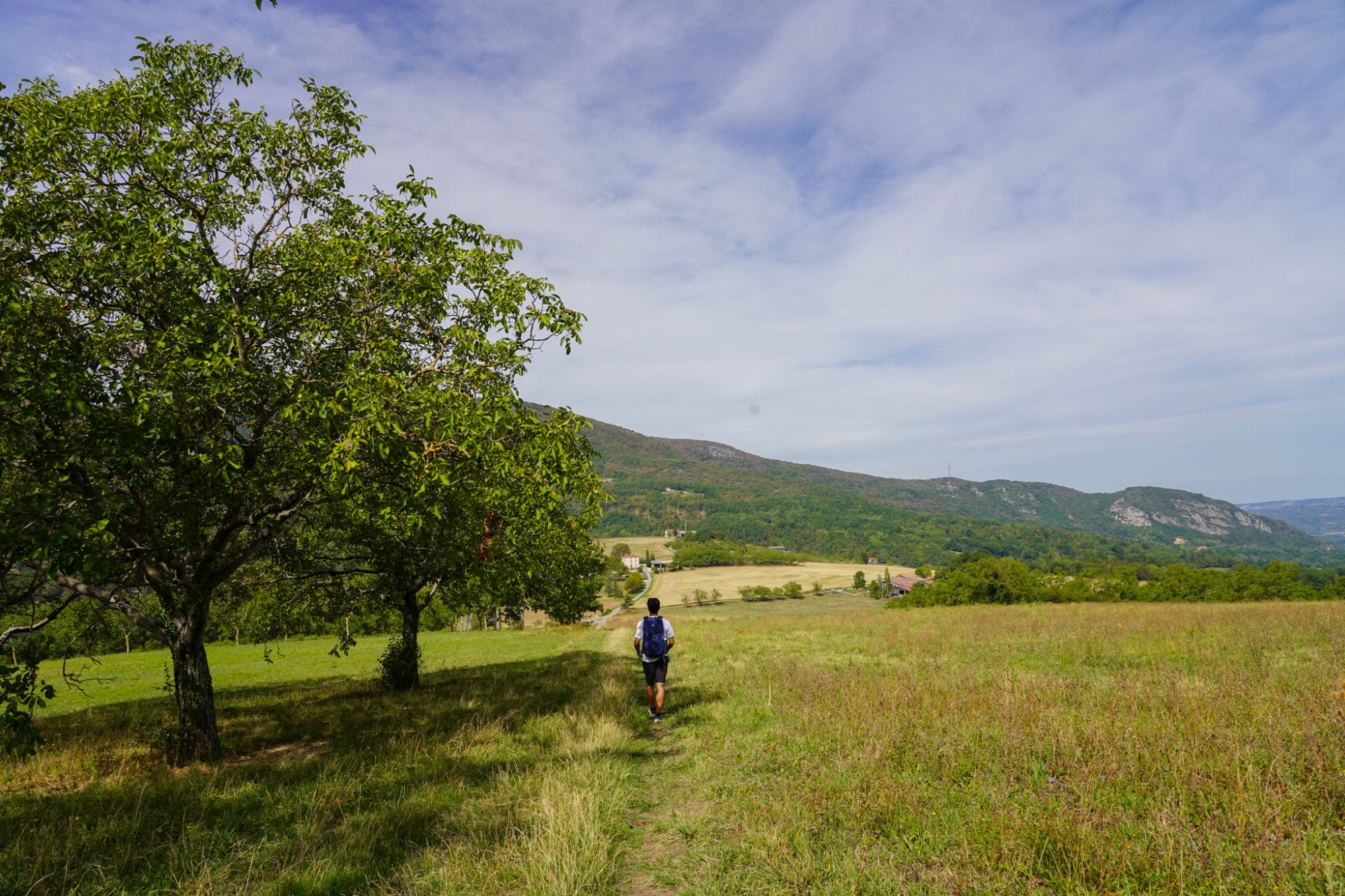 Chemin dans la plaine en face des montagnes du Vercors