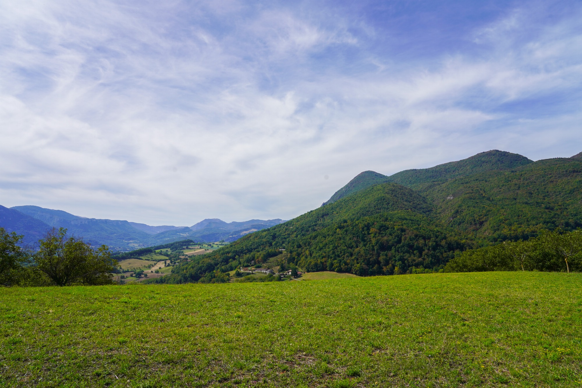 Montagne verdoyante