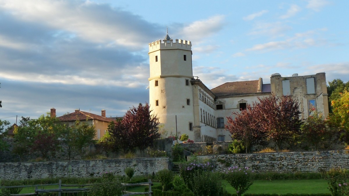 Vue sur le Château de l'Arthaudière