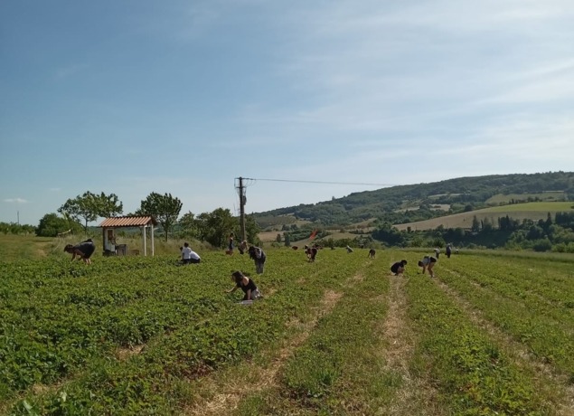 Ferme de l'Enclos_Saint-Antoine-l'Abbaye