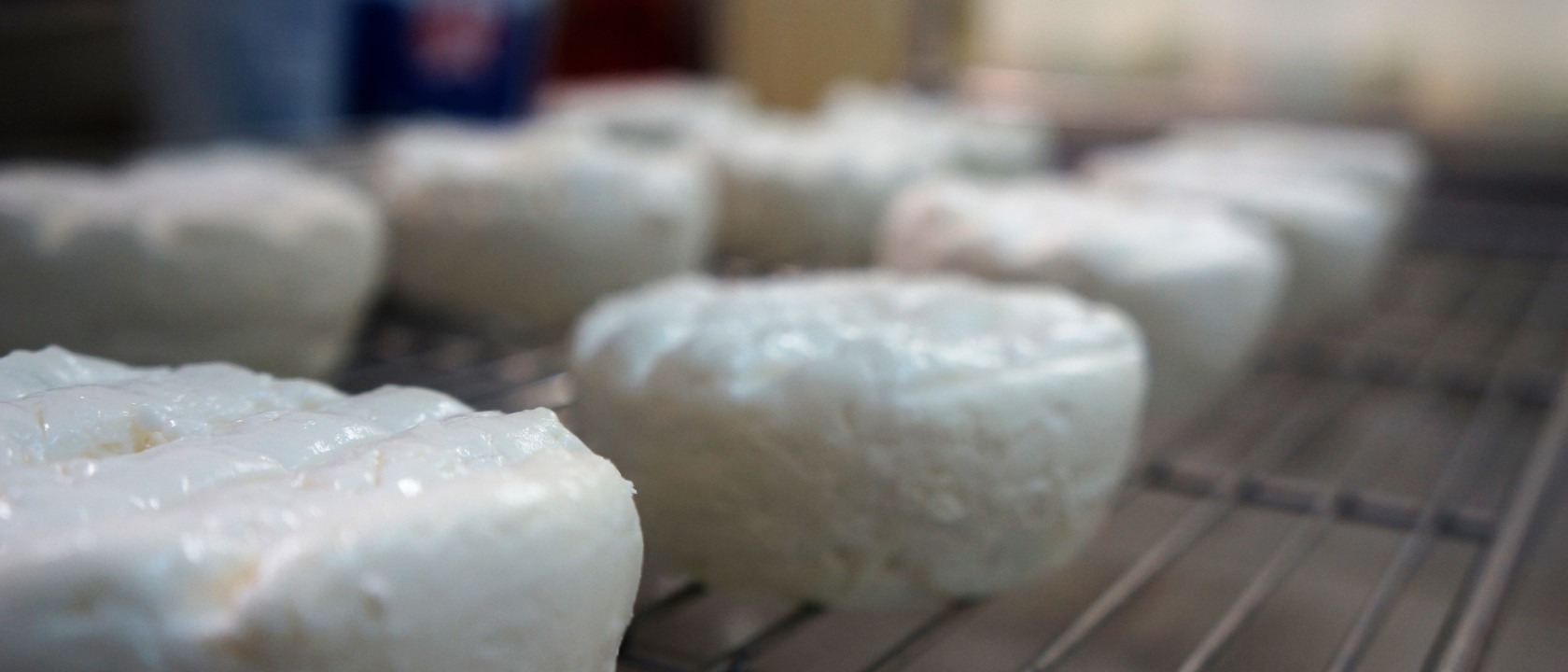 Les fromages de chèvre
