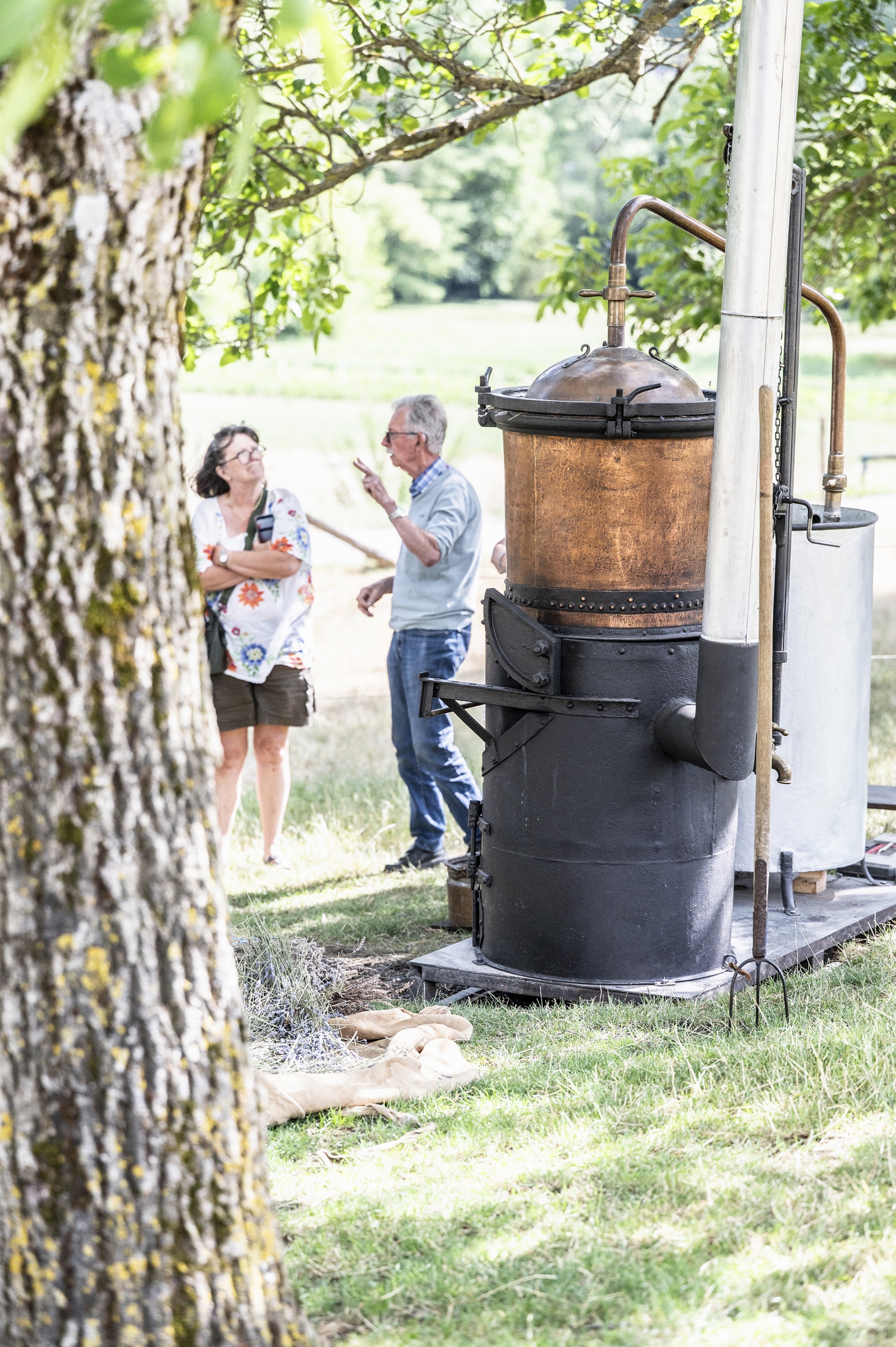 Atelier de distillation présentation