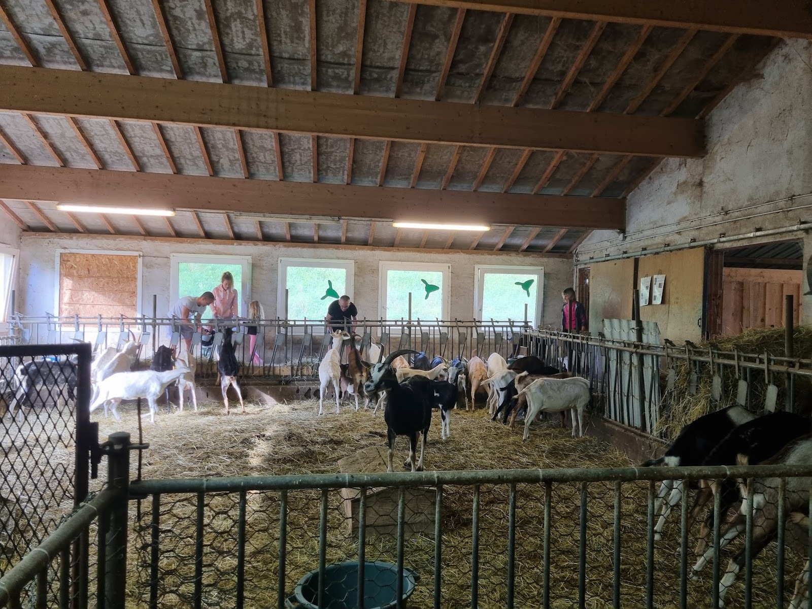 FERME PEAGOGIQUE